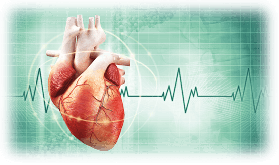 Cardiology Doctors List Sylhet